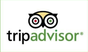 Logo-TripAdvisor-fons-blanc