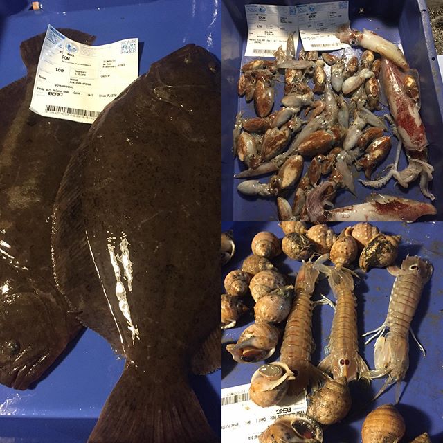 Avui poca cosa però bona, cargol bonic, calamars/calamarsets/sepionets i dos peces de #Rom !!! #restaurantiberic#costabrava #ullastret #emporda#remol