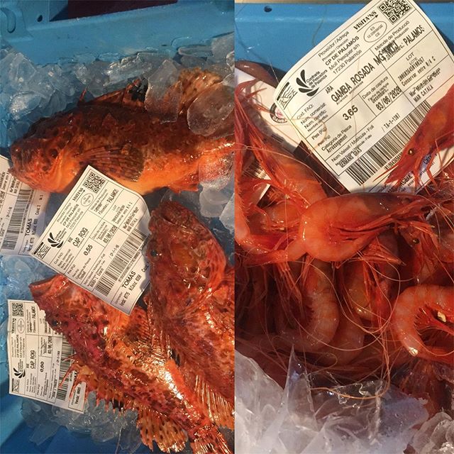 3 cap-roig pescats de palangre i gamba mitjana  amb un color vermellós per fer goig!! #ullastret #emporda #costabrava #restaurantiberic#gambadepalamos